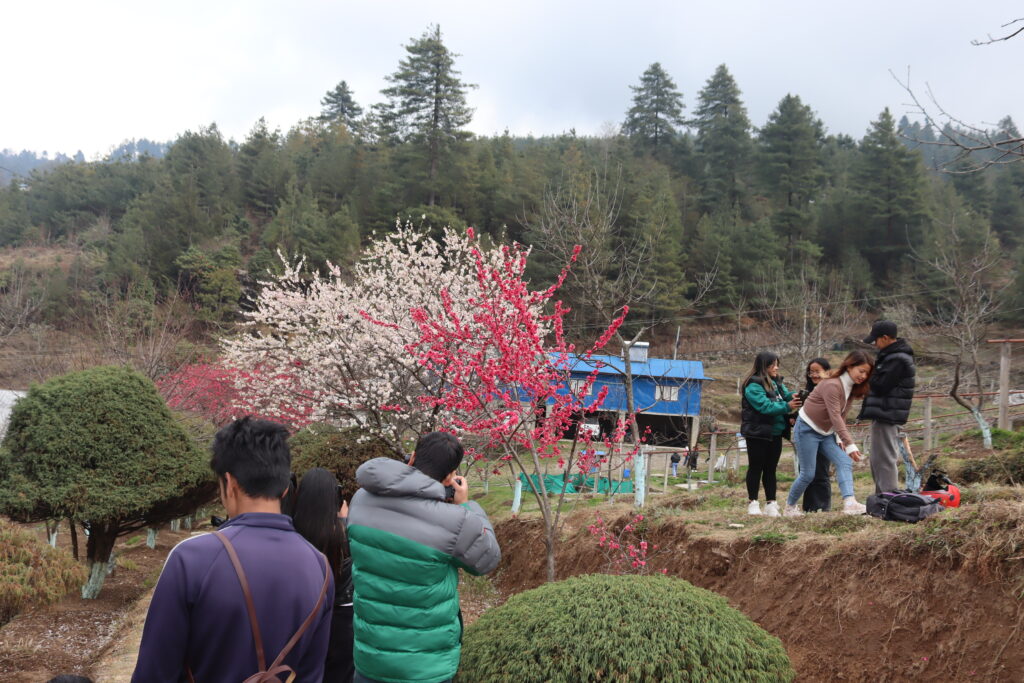 आन्तरिक पर्यटकको आर्कषणमा बागबानी 1 IMG 0079